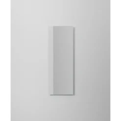 INR Plate Speil