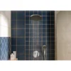 Hansgrohe Activera Hånddusj