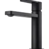 Tapwell LIN071 Servantkran